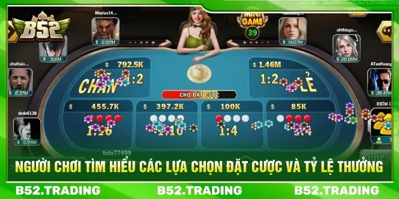 Người chơi tìm hiểu các lựa chọn đặt cược và tỷ lệ thưởng