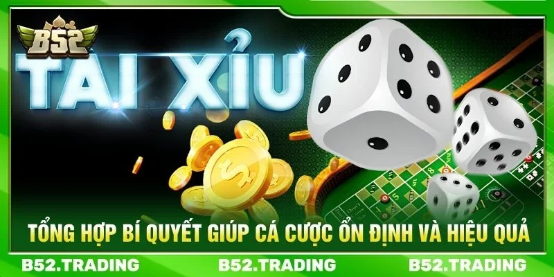 Tổng hợp bí quyết giúp cá cược ổn định và hiệu quả